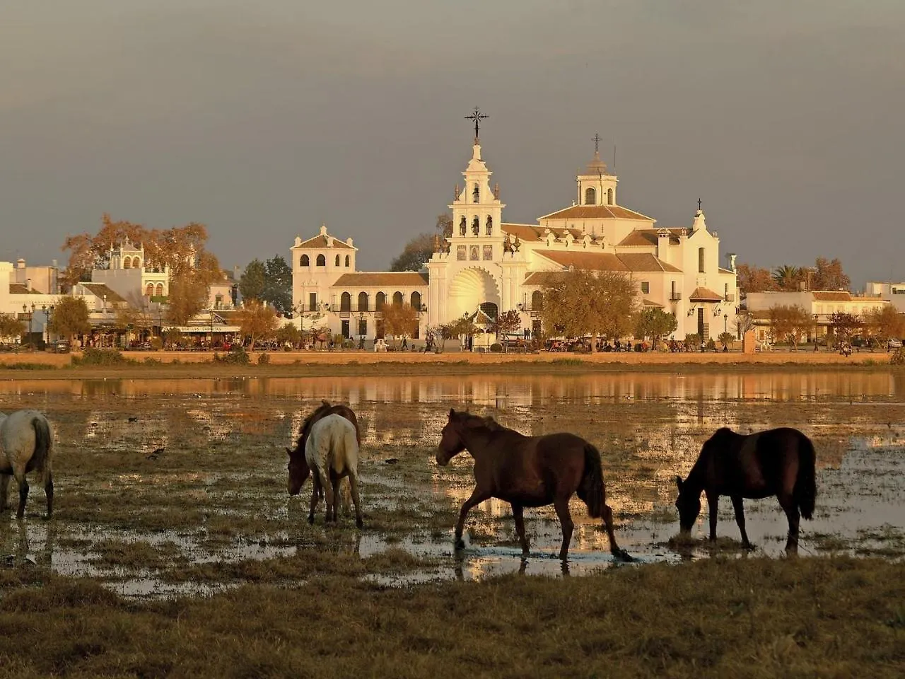 Alojamiento Rural Flamingo El Rocio 0*,